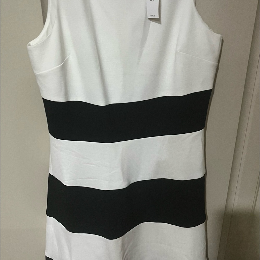 Ann Taylor Black and White Striped Dress NWT